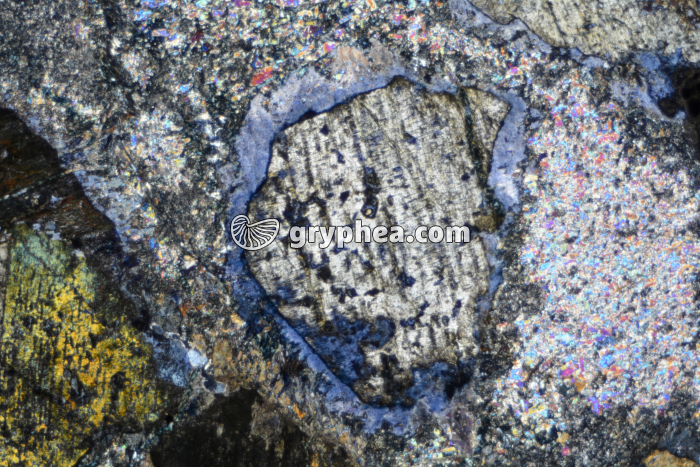 Glaucophane LPA x7 - gryphea.com